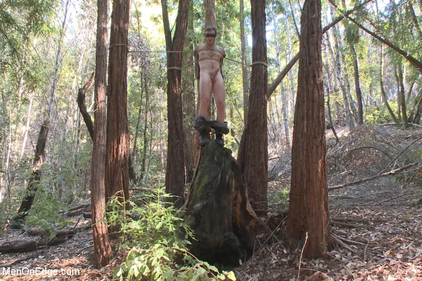 Kink Men 'Bound Christian Wilde begs to cum in the woods' starring Christian Wilde (Photo 2)