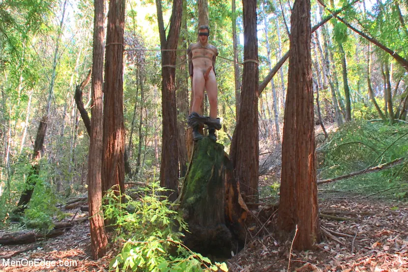 Kink Men 'Bound Christian Wilde begs to cum in the woods' starring Christian Wilde (Photo 9)