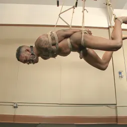 Aaron Reese in 'Kink Men' Big cock stud gets edged in the gym (Thumbnail 12)