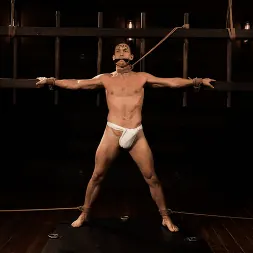 Alpha Wolfe in 'Kink Men' Master Alpha Wolf:New Dom To The Compound (Thumbnail 7)