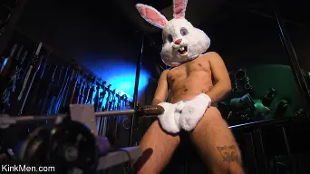 Ari Koyote in 'Bad Bunny: Ari Coyote Is Too Horny For Easter'