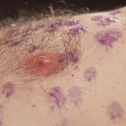 Baxxx in 'Kink Men' Dungeon slave Baxxx takes it hard and long from Marco Napoli (Thumbnail 21)