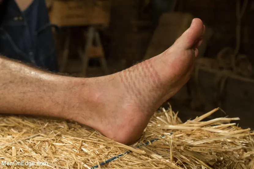 Brayden Forrester in 'Hairy Muscle Hunk Has His Cock Edged By Two Farmers' from 'Kink Men' (Photo 4) Kink Men 'Hairy Muscle Hunk Has His Cock Edged By Two Farmers' starring Brayden Forrester (Photo 4)