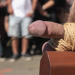 Buck Richards in 'Kink Men' Folsom Street Fair 2024, Part One (Thumbnail 4)
