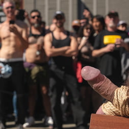 Buck Richards in 'Kink Men' Folsom Street Fair 2024, Part One (Thumbnail 5)
