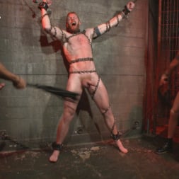 Christian Wilde in 'Kink Men' The Cursed and The Damned (Thumbnail 6)