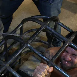 Dominic Pacifico in 'Kink Men' Destroyed (Thumbnail 13)
