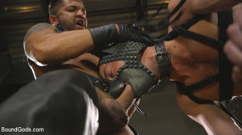 Alex Hawk in 'The Pup Master - Introducing: Master Pacifico'