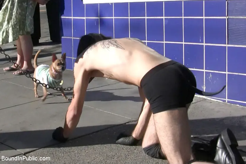 Kink Men 'Shaved and fucked in a busy barbershop' starring Dylan Deap (Photo 1)