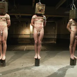 Dylan Deap in 'Kink Men' Slave Auction - Live Shoot (Thumbnail 23)