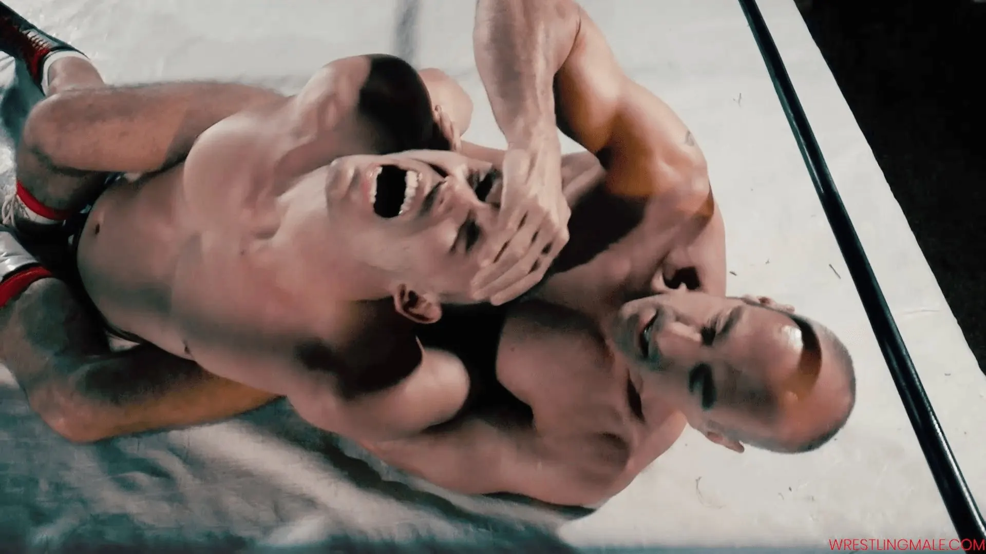 Kink Men 'Florida Sunset Rage 4' starring Etienne Erik (Photo 8)