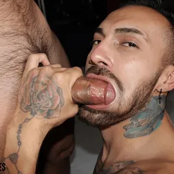 Johnny Castro in 'Kink Men' Tatted Cocksuckers (Thumbnail 6)