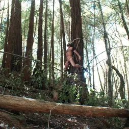 Josh West in 'Kink Men' Bound Gods Dom Josh West Gets Edged Deep in the Woods (Thumbnail 14)