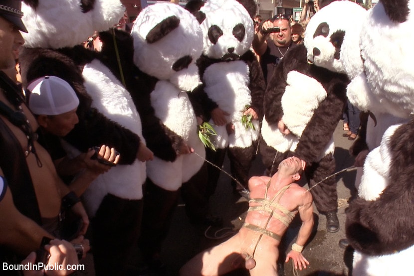 Kink Men 'Naked Pandas Trick or Treat - Just in time for Halloween' starring Master Avery (Photo 26)