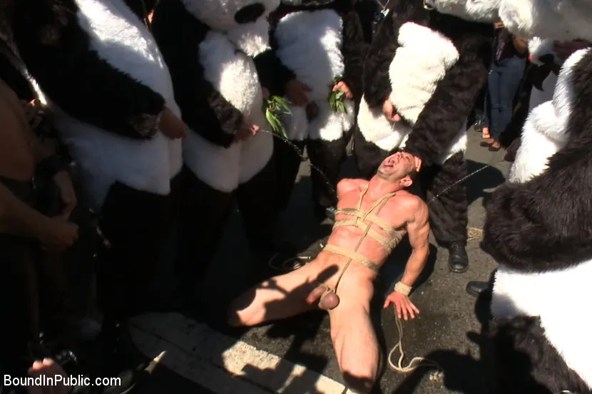 Kink Men 'Naked Pandas Trick or Treat - Just in time for Halloween' starring Master Avery (Photo 28)