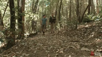 Morgan Black in 'The Cabin Series 4 - Bound and Fucked in the Woods'