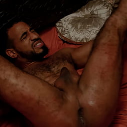 Rodrigo Amor in 'Kink Men' Your Fault: Johnny Donovan Delivers Fierce Revenge Fuck on Killer Rodrigo Amor (Thumbnail 21)