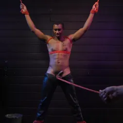 Sebastian Keys in 'Kink Men' Buck Wright Bound and Beaten (Thumbnail 11)