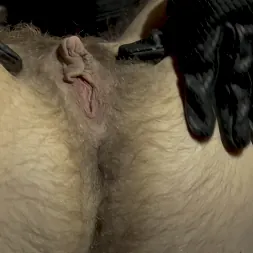 Tyler Castle in 'Kink Men' Luke Hudson Is So Fucked In The Depraved Hands of Tyler Castle (Thumbnail 2)