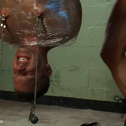 Tyler Saint in The Bloody Ransom (Photo 5) Tyler Saint in 'Kink Men' The Bloody Ransom (Thumbnail 5)